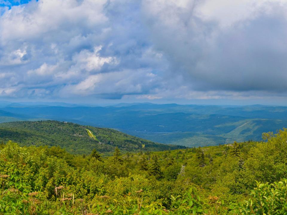 okemo state forest