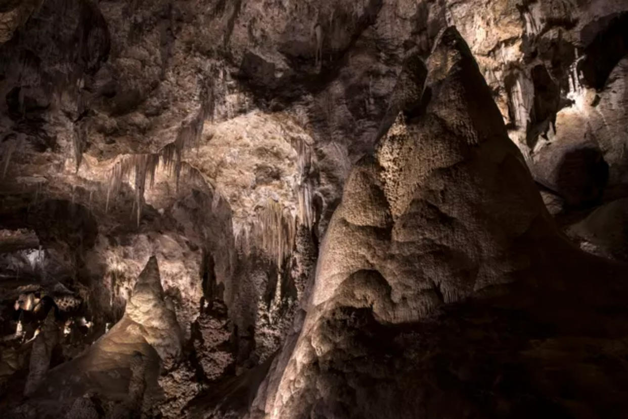 Cave formations along the Big Room Trail.