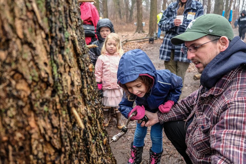 Celebrate the traditional craft of making maple syrup this weekend around Greater Cincinnati.