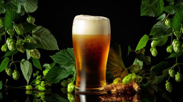 Beer quality and flavor declining due to climate change: Study