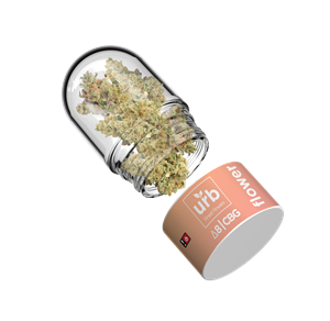 A 5 gram container of White CBG flower covered in D8. Available strains: Tangie, Wedding Cake and Watermelon Zkittlez. Please see www.LiftedMade.com for more information about Lifted Made's delta 8 THC CBG flower, launched under Lifted Made's flagship brand Urb Finest Flowers.