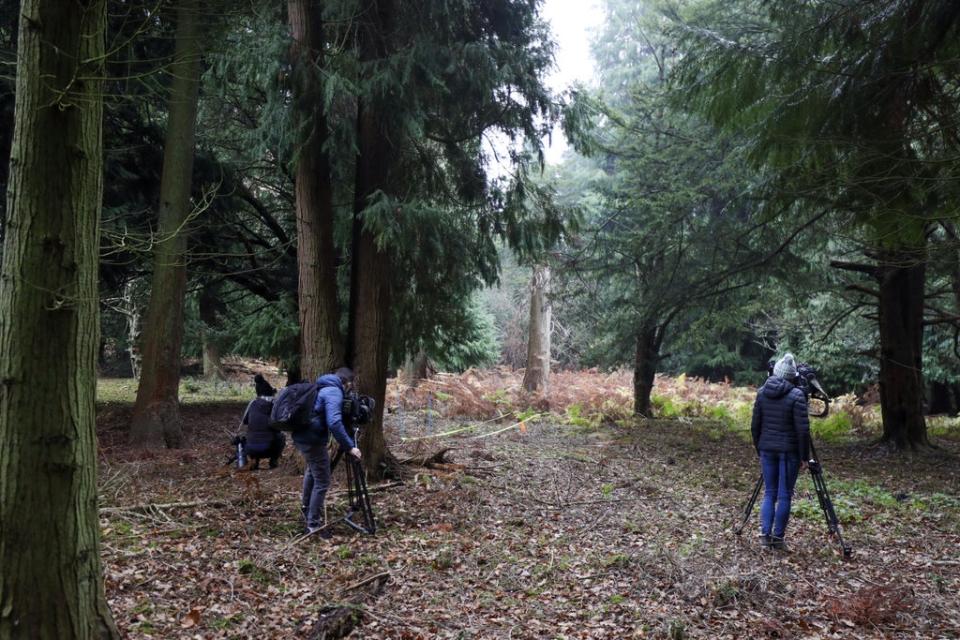 Yellow tape representing a fallen tree trunk and an orange flag marking the spot in woodland where police found Louise’s body (PA) (PA Archive)