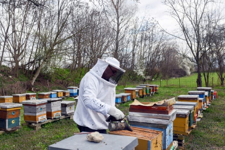 Petroski has for 13 years spent his free time caring for 120 beehives (Robert ATANASOVSKI)