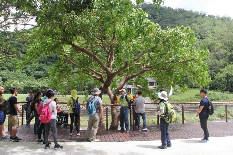 雙流國家森林遊樂區無障礙景觀平台及步道。（林務局提供）