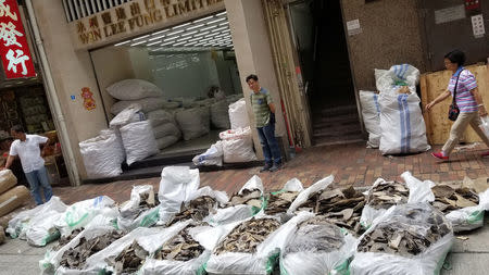 FILE PHOTO: Bags of shark fins from a Singapore Airlines shipment are seen in Hong Kong, China May 11, 2018. Sea Shepherd Global/Handout via REUTERS
