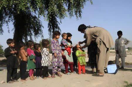 Children in a line look on as a girl receives a polio vaccination during an anti-polio campaign on the outskirts of Jalalabad, in this file picture taken August 18, 2014. REUTERS/Parwiz