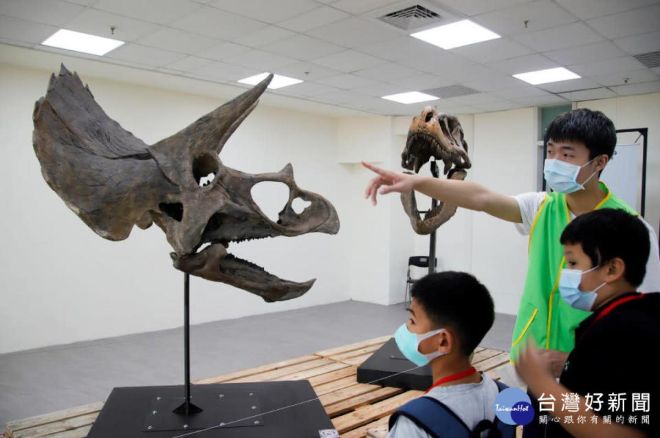 桃園天文嘉年華「恐龍與彗星展」在中央大學展出，吸引許多大小朋友前往參觀，還有大學生幫忙解說。