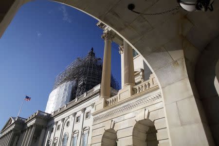 A general view of the U.S. Capitol dome can be seen to the carriage entrance to the U.S. Senate in Washington December 11, 2014. REUTERS/Jonathan Ernst