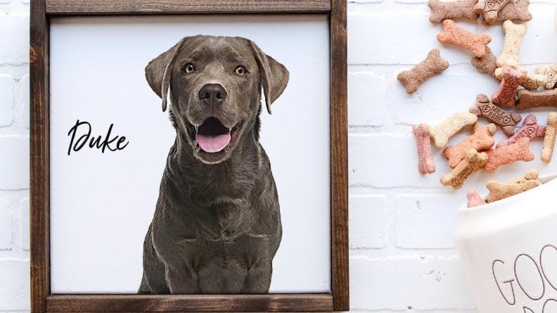 Celebrate your pet with a precious custom portrait.