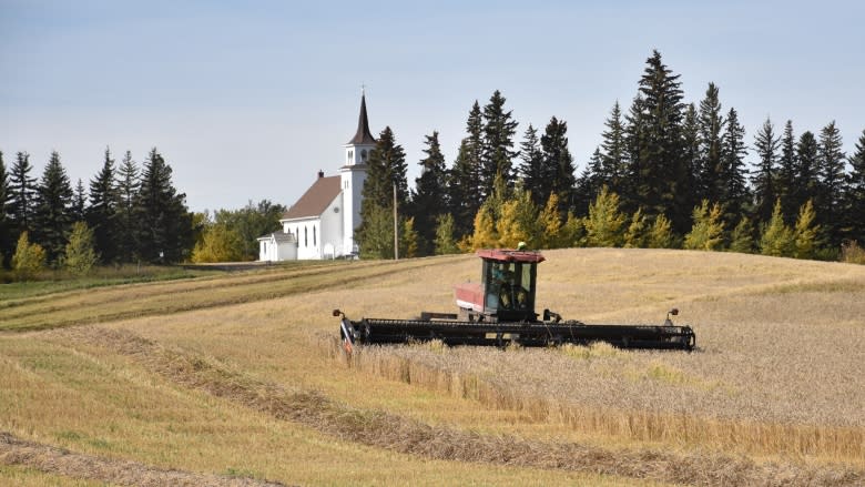 Alberta harvest better than expected, even as insurance payouts spike