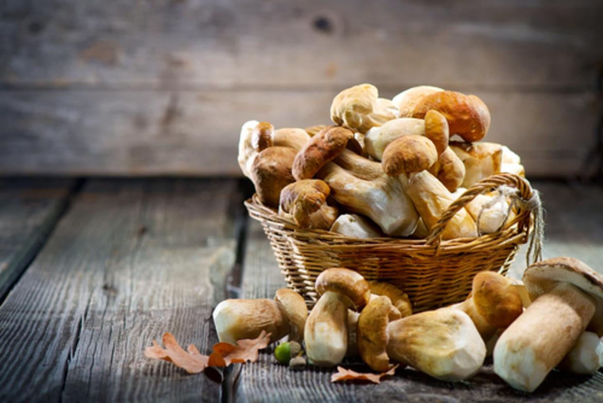 Mushrooms for many are just an addition to a slice of pizza, but the fungi are now gaining a reputation for their nutrients. <a href="https://www.shutterstock.com/image-photo/mushroom-boletus-over-wooden-background-autumn-721266823" rel="nofollow noopener" target="_blank" data-ylk="slk:Subbatina Anna/Shutterstock.com;elm:context_link;itc:0;sec:content-canvas" class="link ">Subbatina Anna/Shutterstock.com</a>