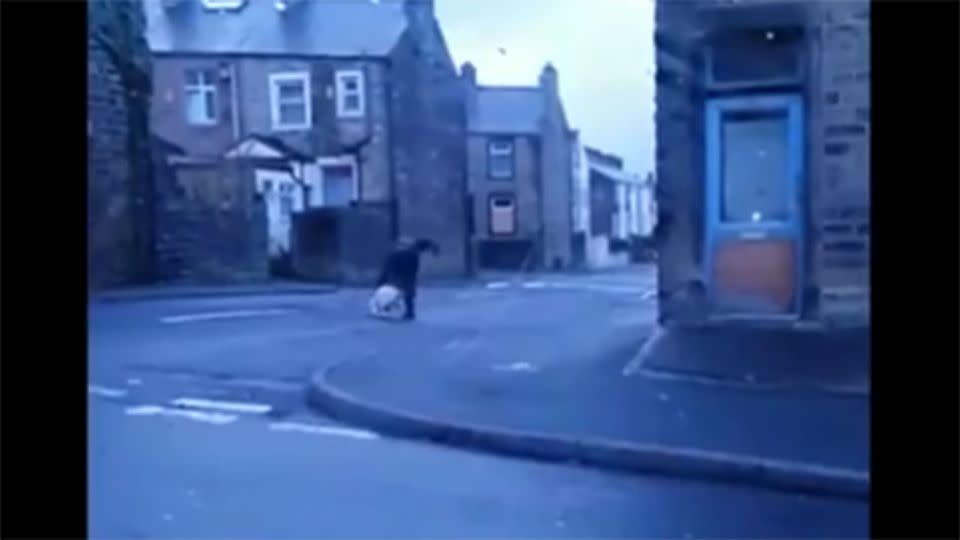 The attack on the dog began in the middle of the road. Photo: RSPCA England/Facebook