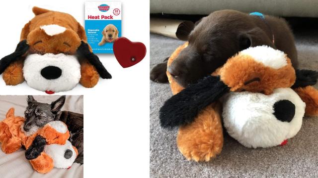 Snuggle Puppy' Is Specially Designed To Help Dogs With Separation