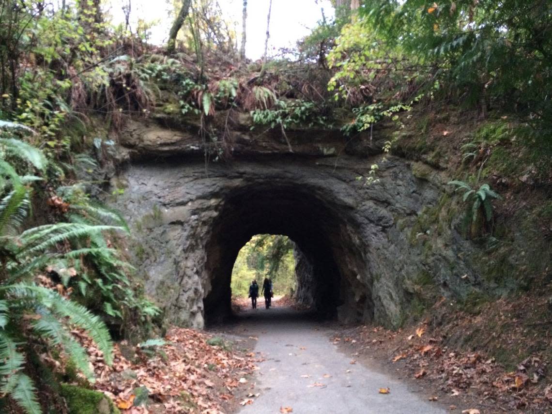 A tunnel bored through rock in the 1920s was once part of a road on Sehome Hill in Bellingham and now is part of a walking path within Sehome Hill Arboretum.
