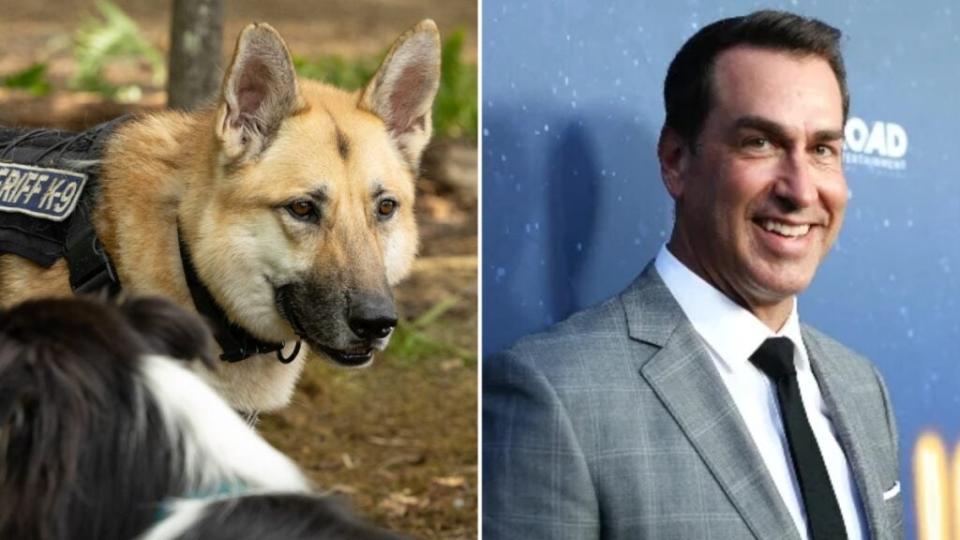 Rolf (Rob Riggle), a police dog, in “Strays” (Universal)