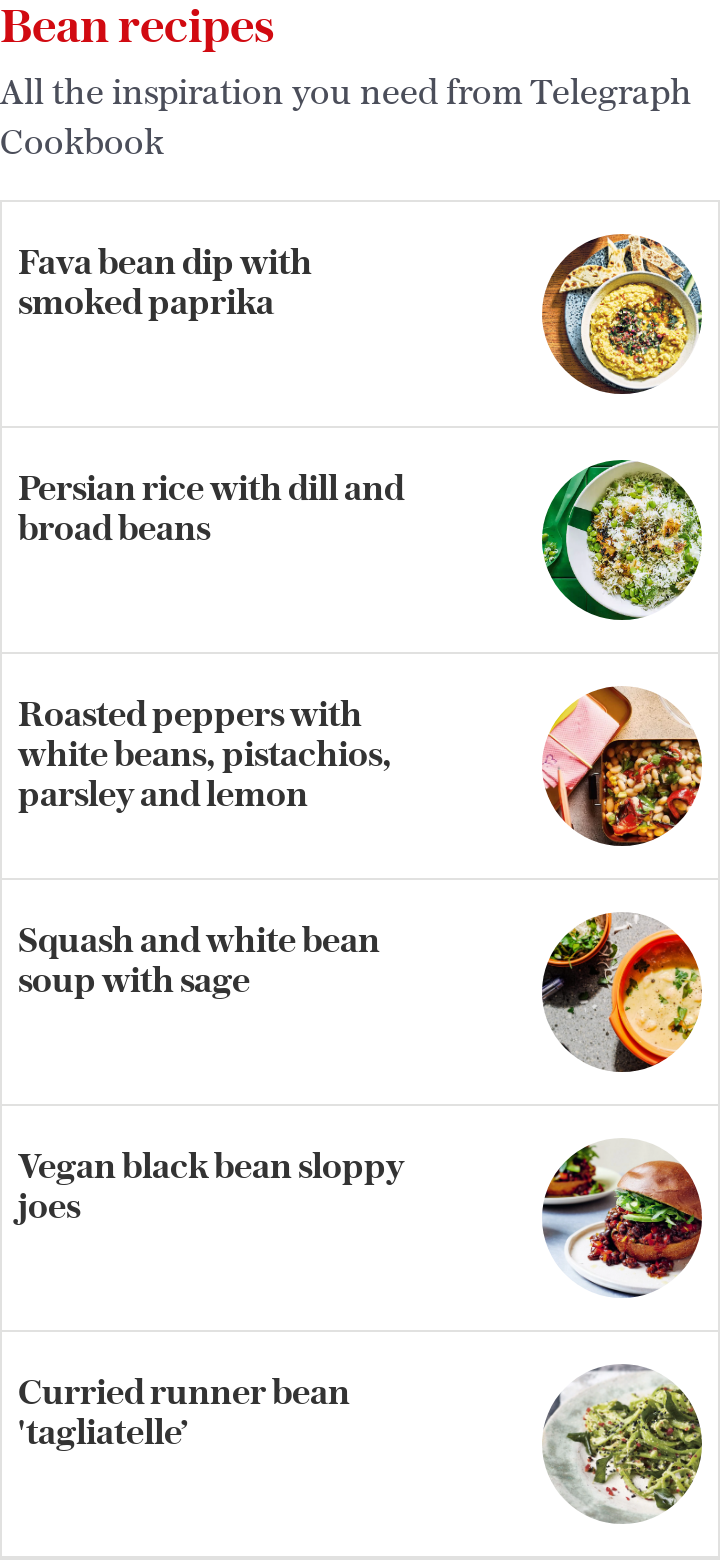 Bean recipes