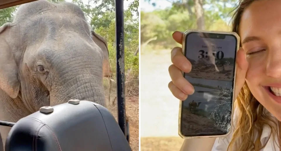 A photo of the elephant closer to the vehicle in Sri Lanka. A photo of the tourist posing with her broken phone, that still works.