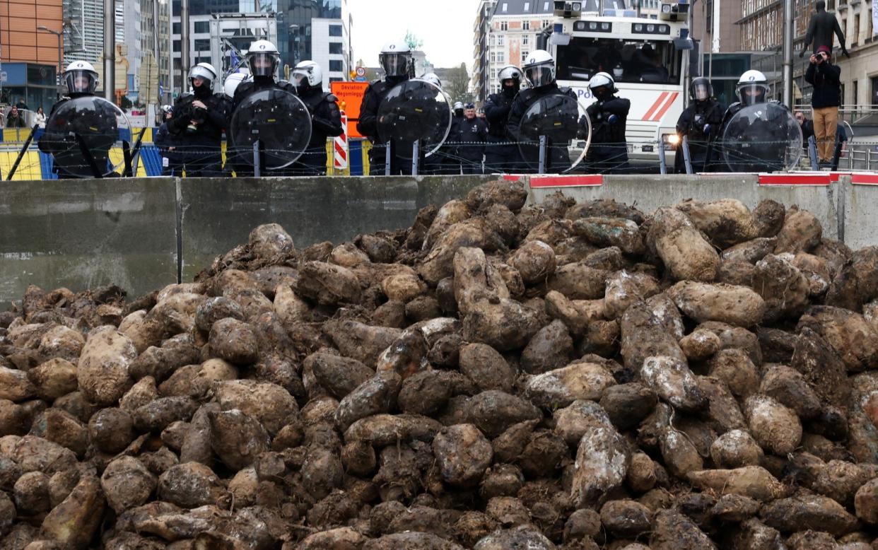 A heavy police presence was in place after the last protest to hit Brussels ended in violent clashes