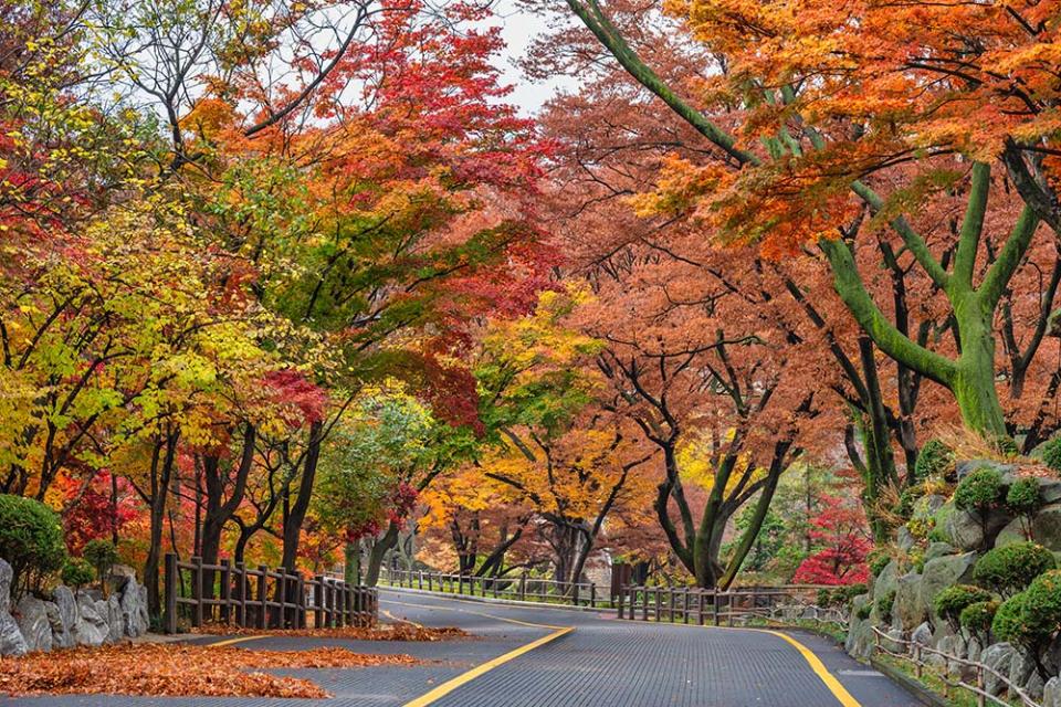 南山公園（Image Source : Getty Creative）