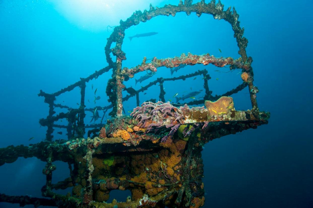 The bow of the U.S. Coast Guard cutter Duane, a decommissioned ship deliberately sunk off Florida to serve as an artificial reef. <a href="https://www.gettyimages.com/detail/photo/bow-of-uscg-duane-royalty-free-image/492717259" rel="nofollow noopener" target="_blank" data-ylk="slk:Stephen Frink via Getty Images;elm:context_link;itc:0;sec:content-canvas" class="link ">Stephen Frink via Getty Images</a>
