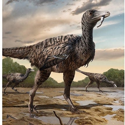 Scientists believe they may have discovered evidence in China of a megaraptor, a relative of the velociraptor that was two to three times its size.