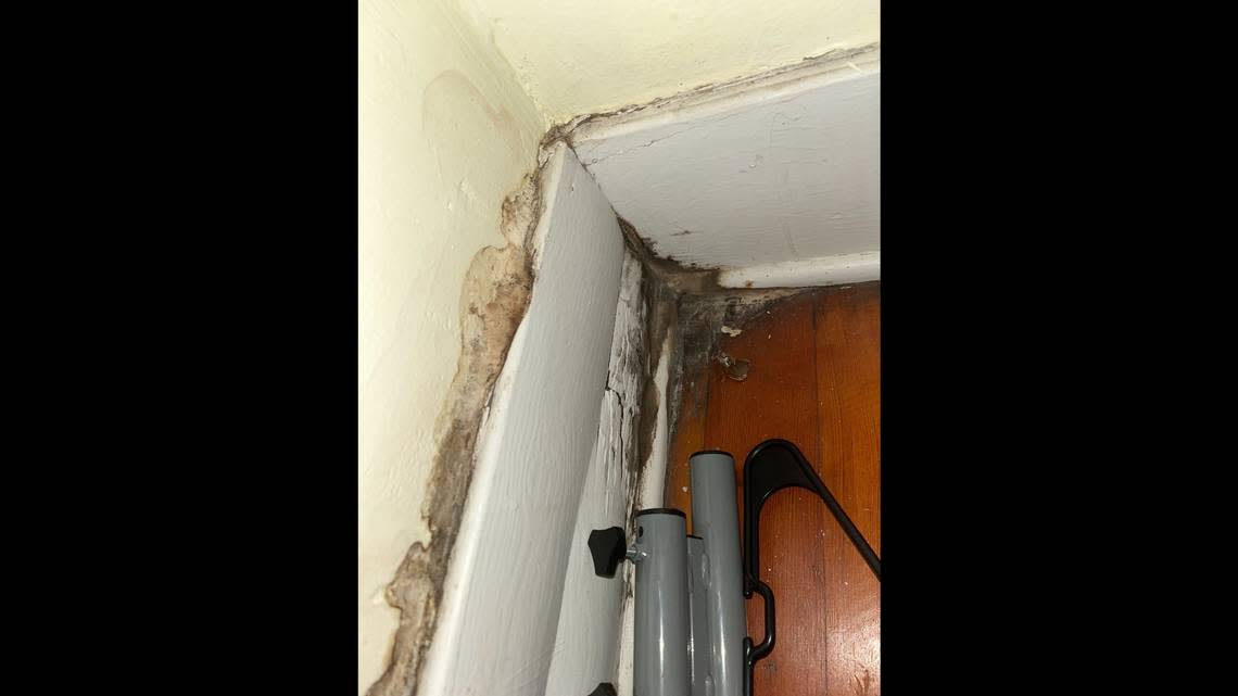 Water damage and mold growth are seen in a closet at a rental property managed by Lakeway Realty on N. Forest Street in Bellingham, Wash.