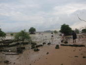 The stretch of mangrove which separates the coral rubble area from the inland. (Yahoo! Singapore/ Karen Vera)