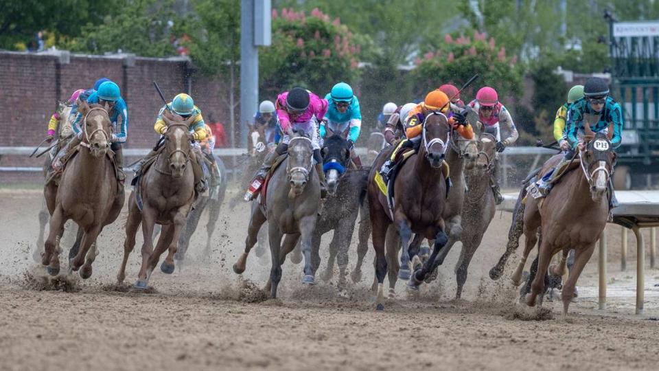 The 20-horse field for the Kentucky Derby can consist of 18 horses that qualify via the American Road to the Kentucky Derby series, and other horses that qualify from the European and Japanese qualifying series.