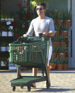 <p>Simon Cowell makes a grocery run solo on Tuesday in Los Angeles.</p>