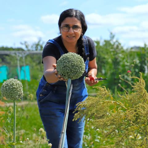 <p>Garden and food writer Rekha knows a thing or two about growing impressive vegetables. After appearing on BBC Two's The Big Allotment Challenge in 2015, she went on to study RHS Horticulture in pursuit of a career in the horticulture industry. Specialising in growing plants and creating seasonal recipes, Rekha has all you need to know about organic homegrown produce. </p><p><a href="https://www.instagram.com/p/CK-4uPxAsaw/" rel="nofollow noopener" target="_blank" data-ylk="slk:See the original post on Instagram;elm:context_link;itc:0;sec:content-canvas" class="link ">See the original post on Instagram</a></p>