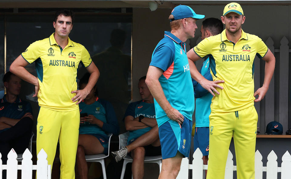 Pat Cummins and Josh Hazlewood.