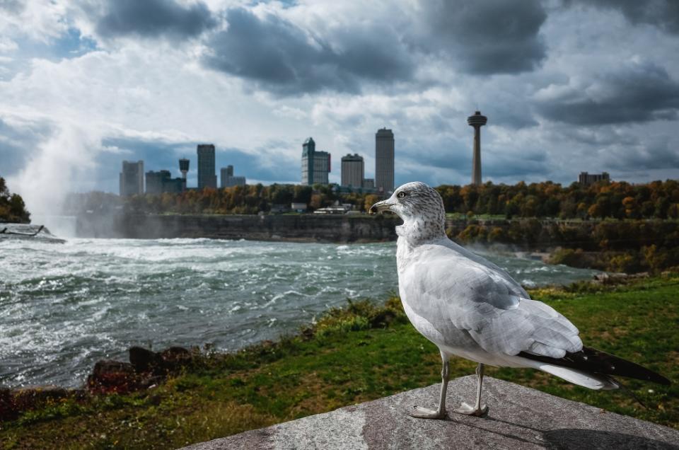 Niagara Falls State Park via Getty Images