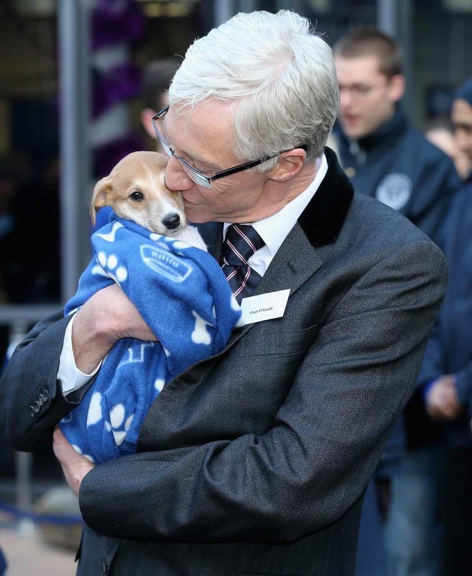 LONDON, ENGLAND - DECEMBER 12:  Comedian Paul O'Grady hugs a lurcher-cross puppy called 'Mince Pie' as she visits Battersea Dog and Cats Home on December 12, 2012 in London, England. The Duchess of Cornwall as patron of Battersea Dog and Cats home visited with her two Jack Russell terriers Beth, a 3 month old who came to Battersea as an unwanted puppy in August 2011 and Bluebell a nine week old stray who was found wandering in a London Park in September 2012.  (Photo by Chris Jackson/Getty Images)