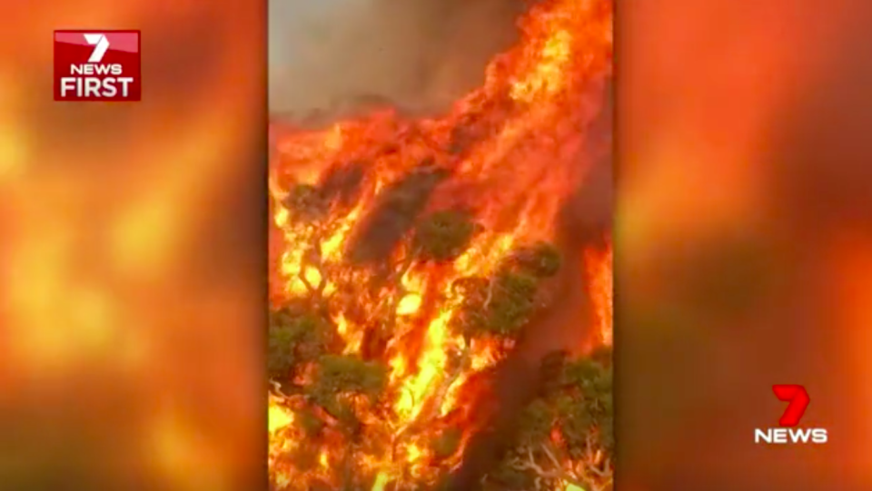 The flames quickly engulfed trees just metres from residents’ homes. Source: 7News