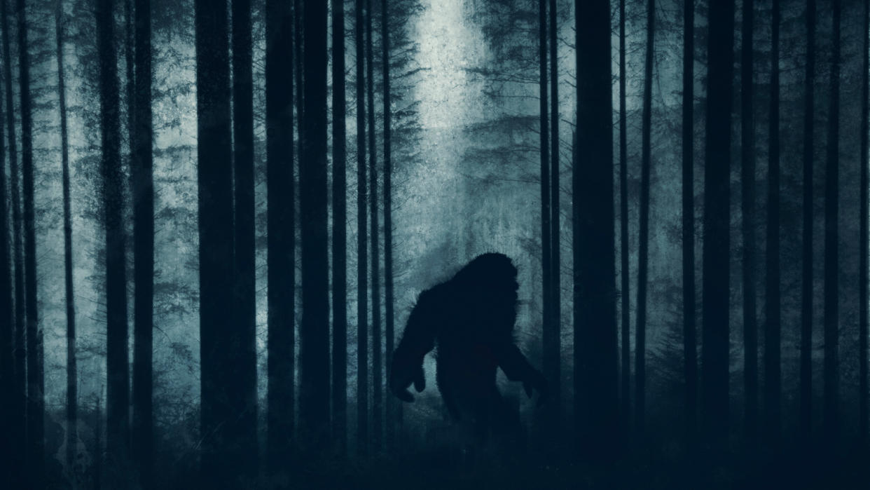  A mysterious bigfoot figure, walking through a forest. Silhouetted against trees in a forest. With a grunge, textured edit. 