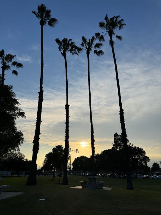 Sunset clouds palm trees taken with iPhone 15 Pro.