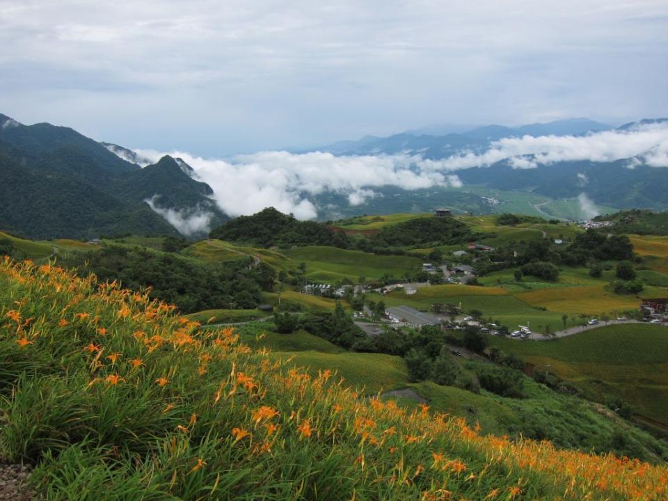 六十石山金針花海。　　（中華旅行社提供）