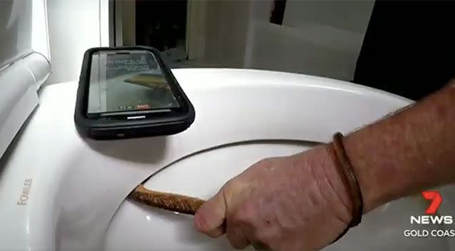 The snake catcher tried to flush the bowl but the animal wouldn't budge. Source: Gold Coast and Brisbane Snake Catcher