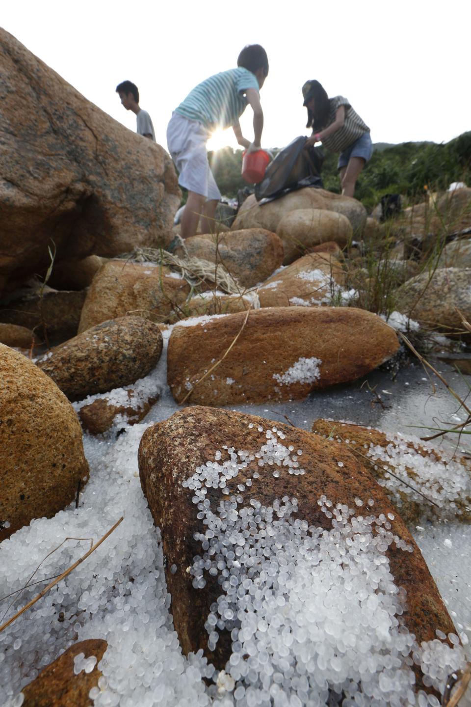 Volunteers collect plastic pellets washed up on a bank of Lamma island during a cleanup operation in Hong Kong Sunday, Aug. 5, 2012. Hong Kong government said about 150 tons of the pellets were spilled into the sea from a vessel when Typhoon Vicente hit two weeks ago, and some of the pellets drifted into fish farms. (AP Photo/Kin Cheung)