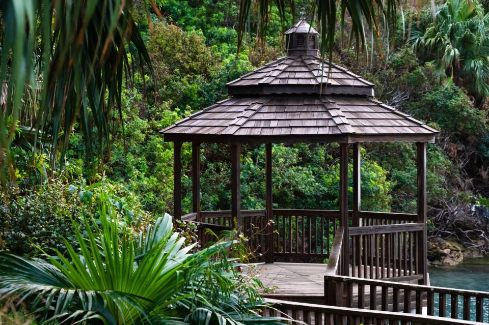 gazebo over the water amidst lush vegetation in bailey's bay, bermuda