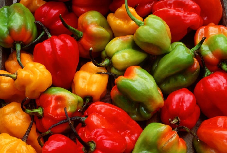 pile of bell peppers