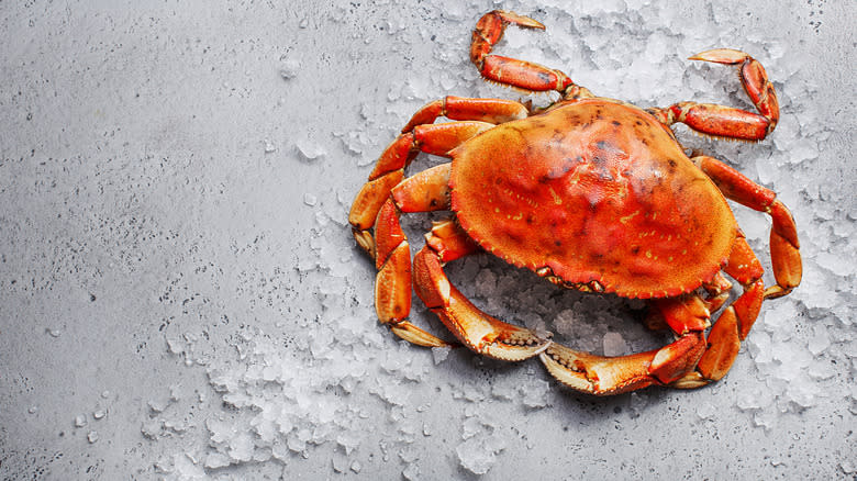 Dungeness crab on ice