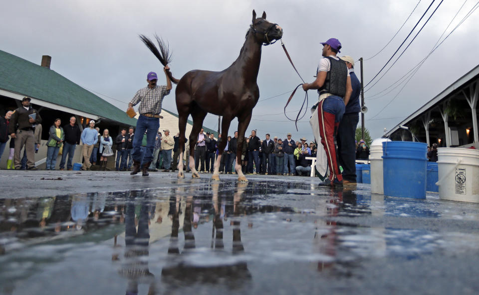Kentucky Derby hopeful California Chrome gets a bath after a morning workout at Churchill Downs Wednesday, April 30, 2014, in Louisville, Ky. (AP Photo/Charlie Riedel)