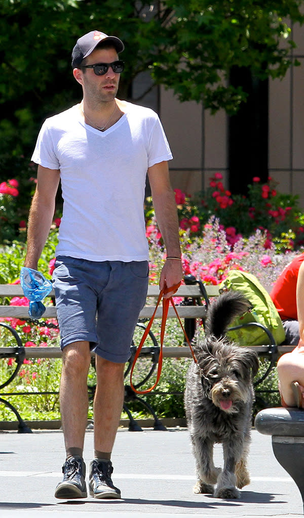 Zachary Quinto was spotted with a male friend walking their dogs in NYC