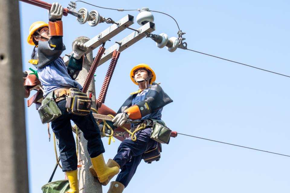 台電2024年招考1103名僱用人員，其中配電線路維護類429名為名額最多的類別。（圖／台電提供）