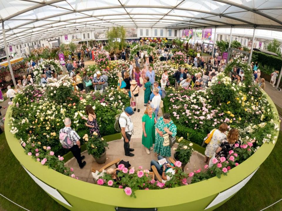 rhs chelsea flower show