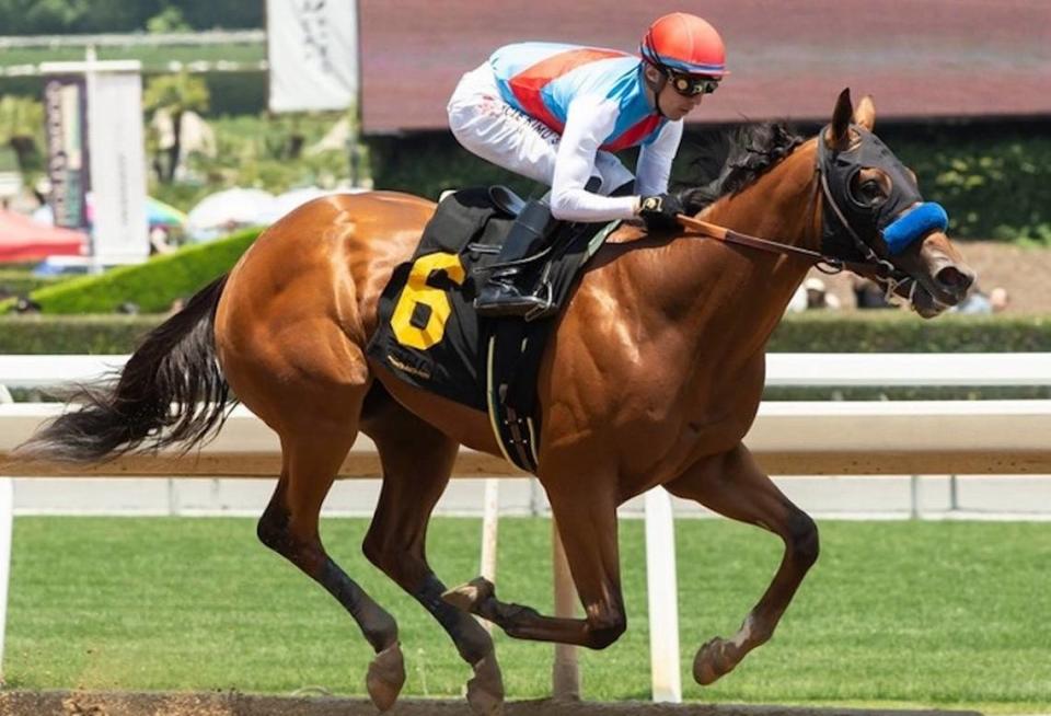 Muth is the morning line favorite for Saturday’s 149th Preakness Stakes.