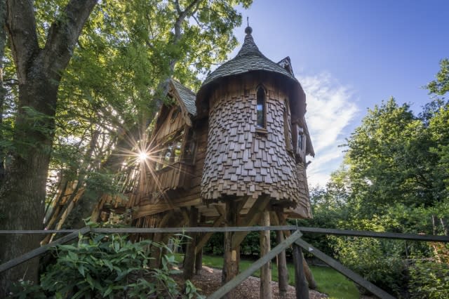 Treehouse stay in East Sussex