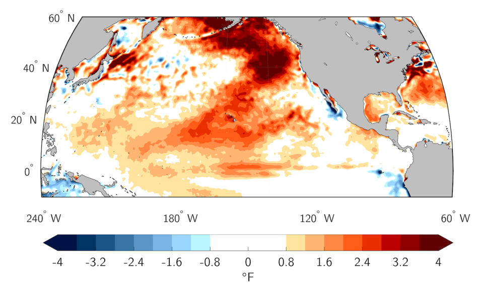 Fierce marine heat waves like this one in 2019 can wreak havoc on sea life off the North American Pacific Coast with temperatures about 4 to 6 F (2 to 3 C) above normal. Dillon Amaya