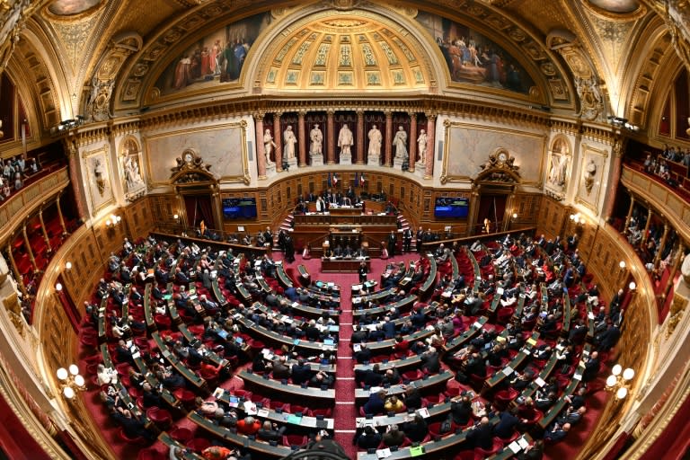 Une vue d'une séance au Sénat à Paris, le 2 avril 2024 (Bertrand GUAY)